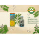 Surya prakash oil 6 ml. patel, сурья пракаш масло 6 мл. пател