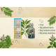 Surya prakash oil 6 ml. patel, сурья пракаш масло 6 мл. пател