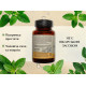 Prostate care 60 cap. organic india, простейт кеа 60 кап. органик индия