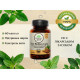 Liver kidney care 60 tab. organic india, ливер кидни кеа 60 таб. органик индия