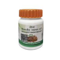 Shilajit rasayan vati 120 tab. divya patanjali, шиладжит расаян ваті 120 таб. дів’я патанджалі